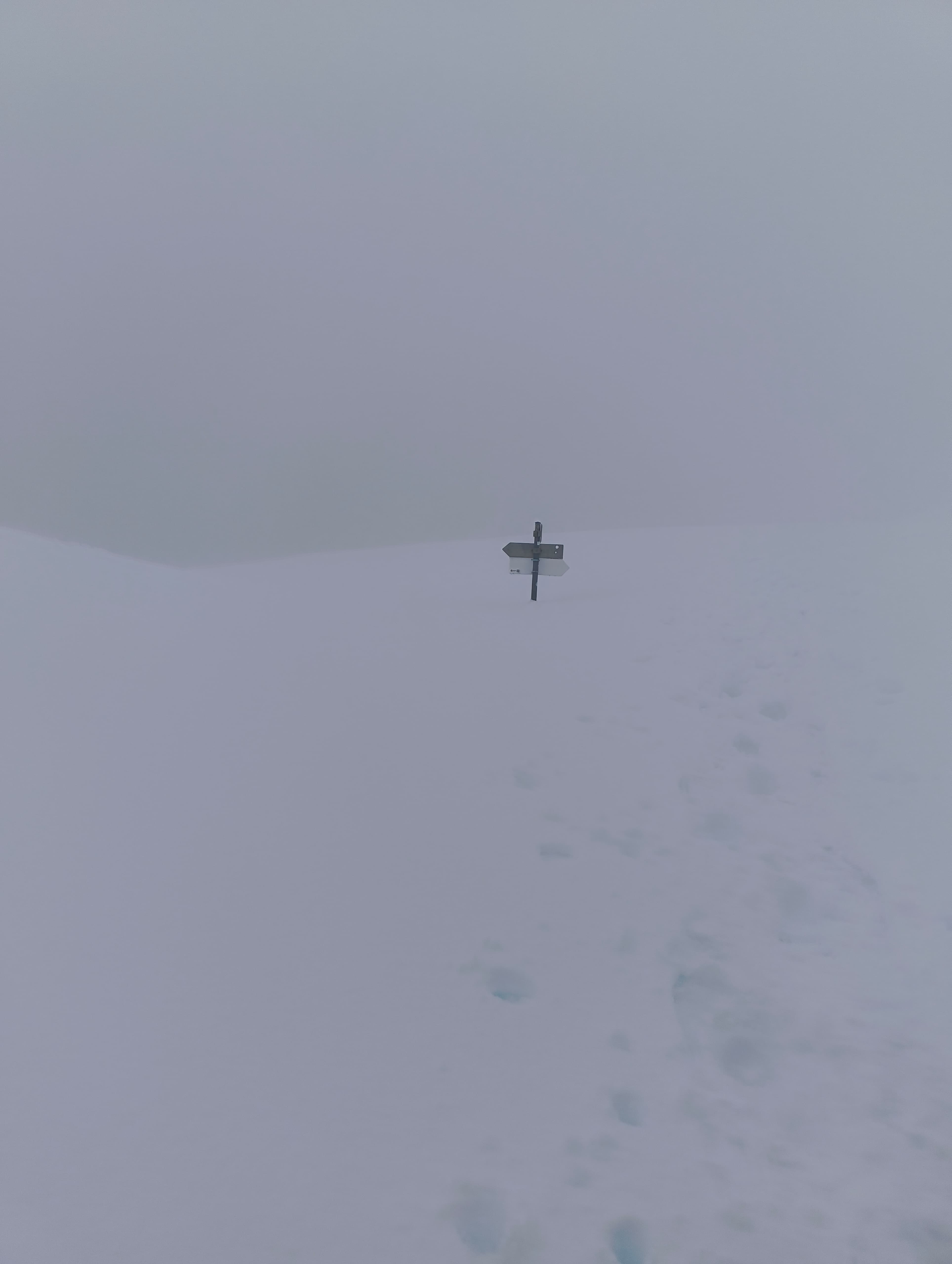 Foto n° 1 del trekking Monte Sodadura